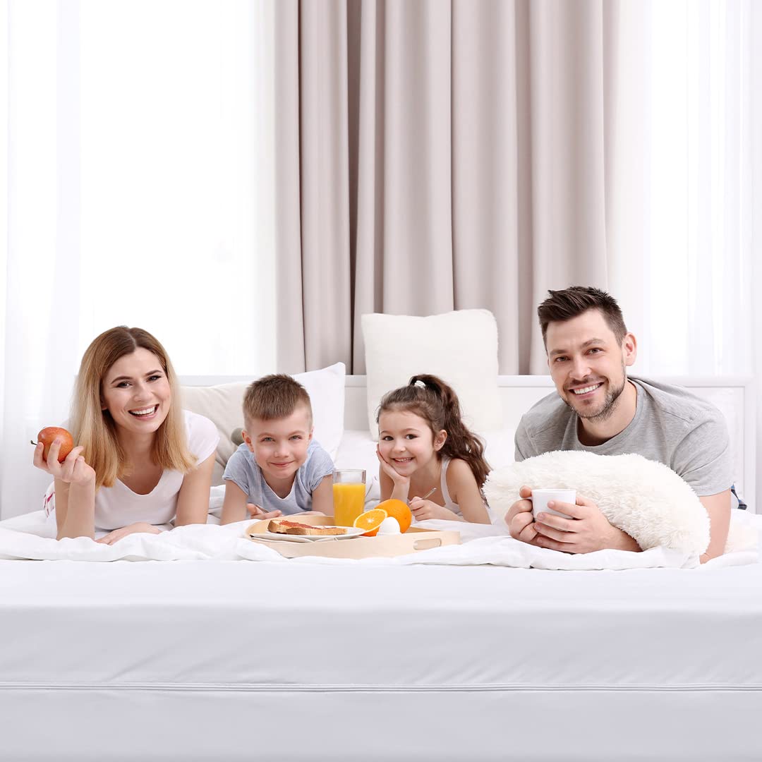 Twin XL Mattress Encasement