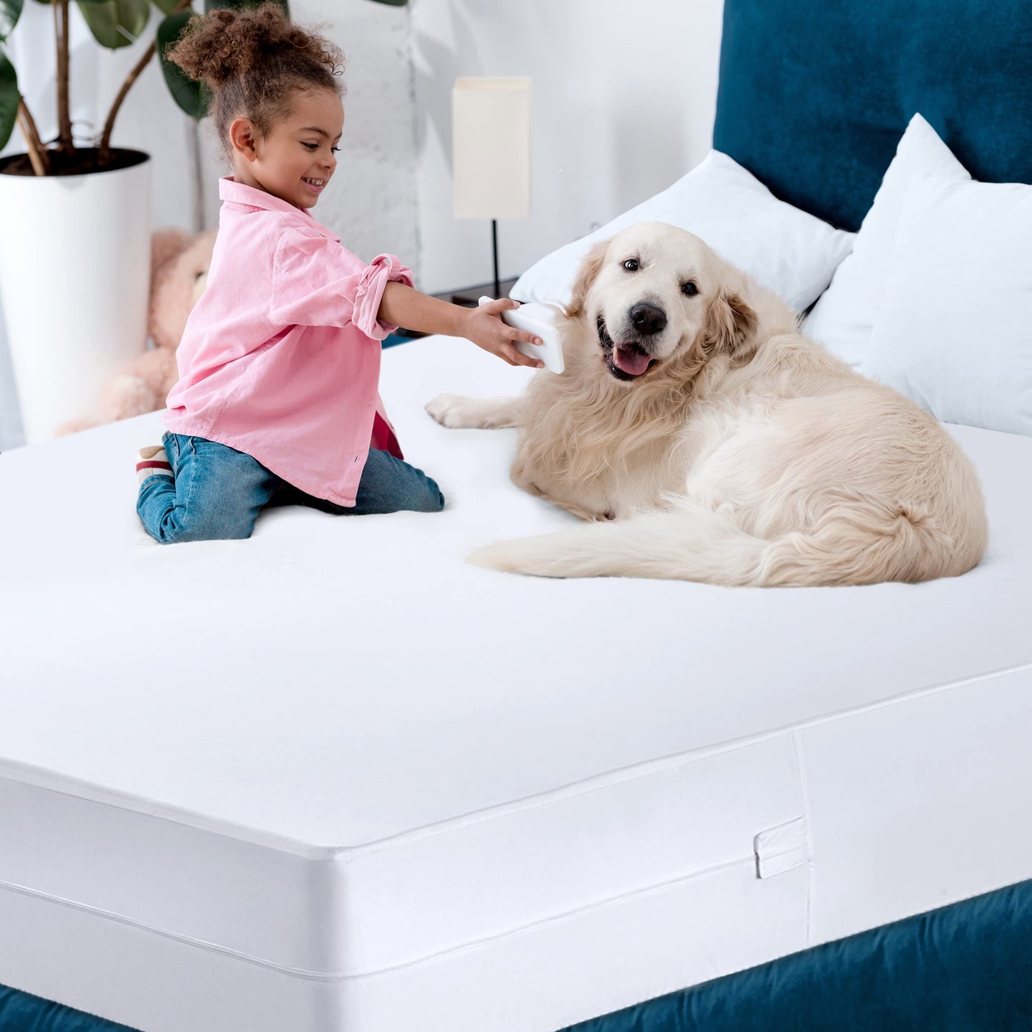 Twin XL Mattress Encasement
