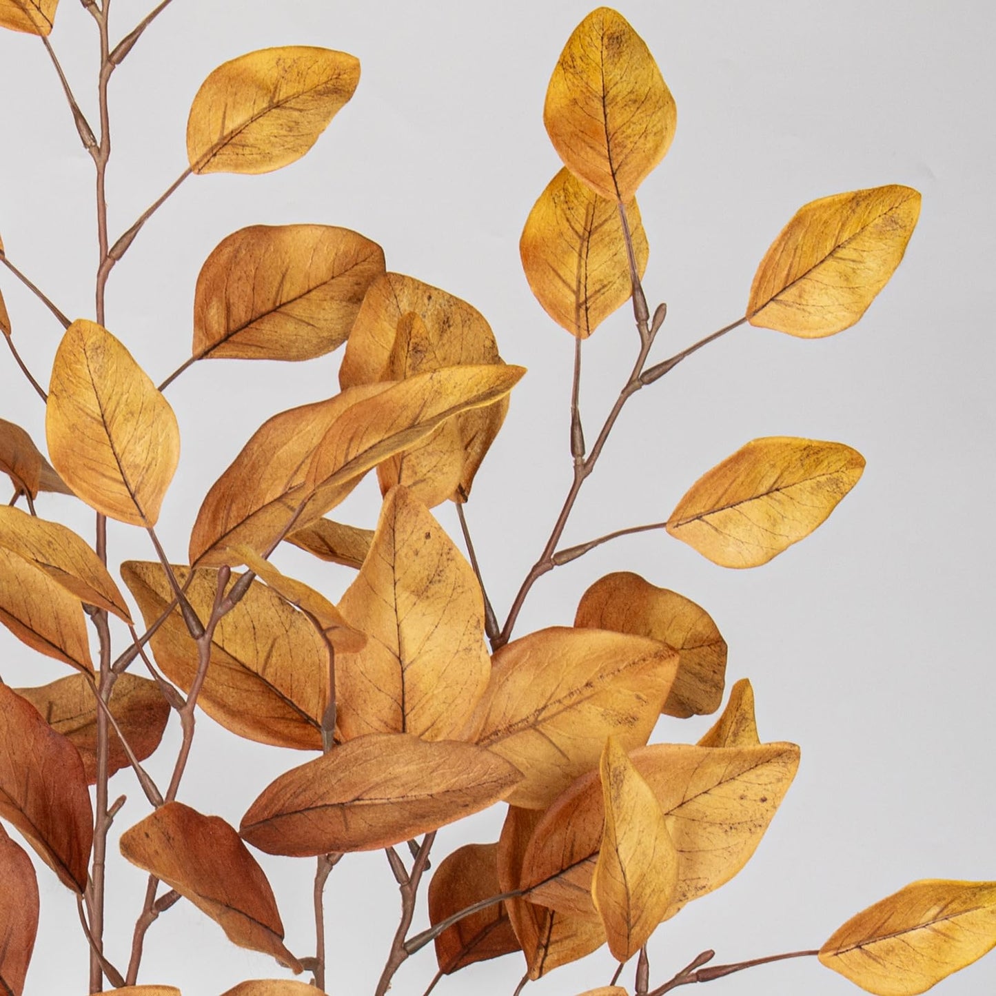 Fall Leaves Stems
