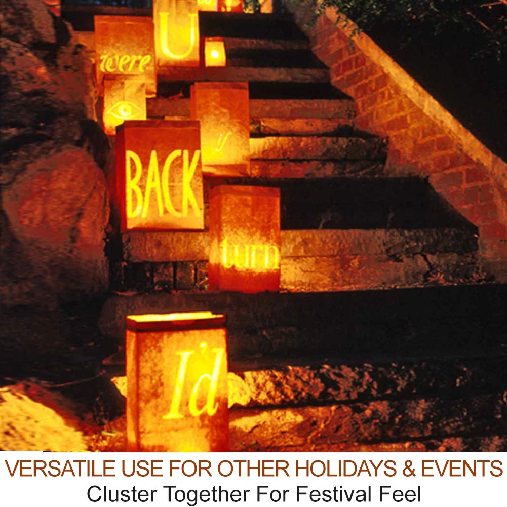 Pumpkin Lights