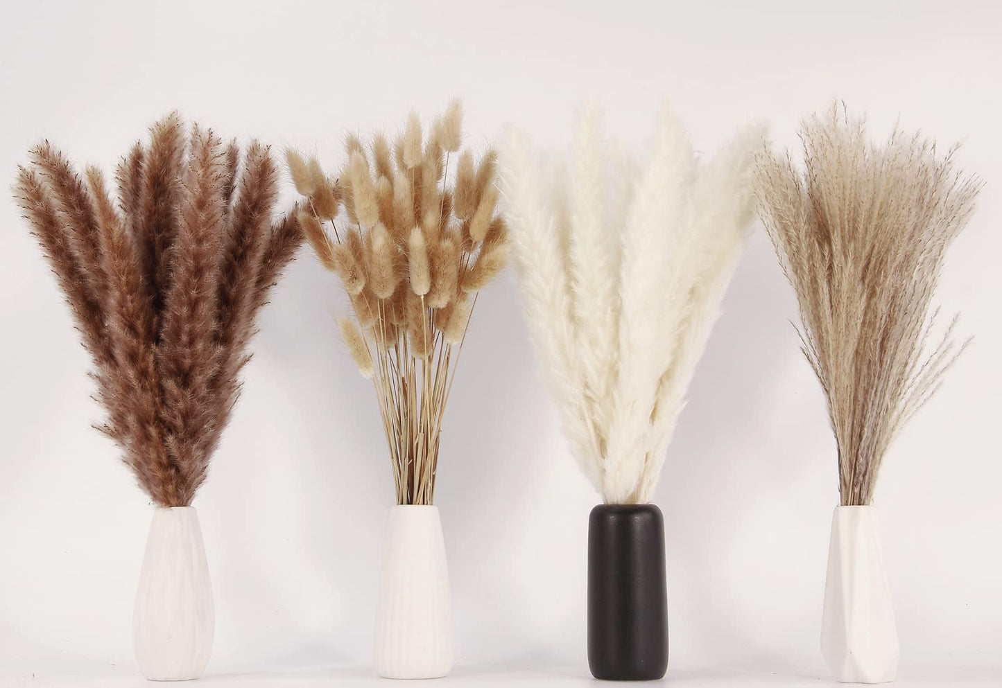 Pampas Grass