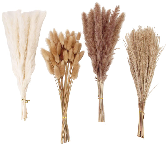 Pampas Grass