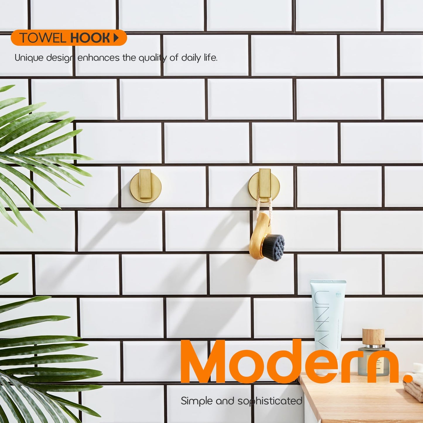 Robe Hook