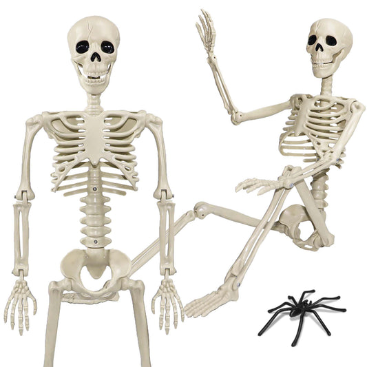 Skeleton