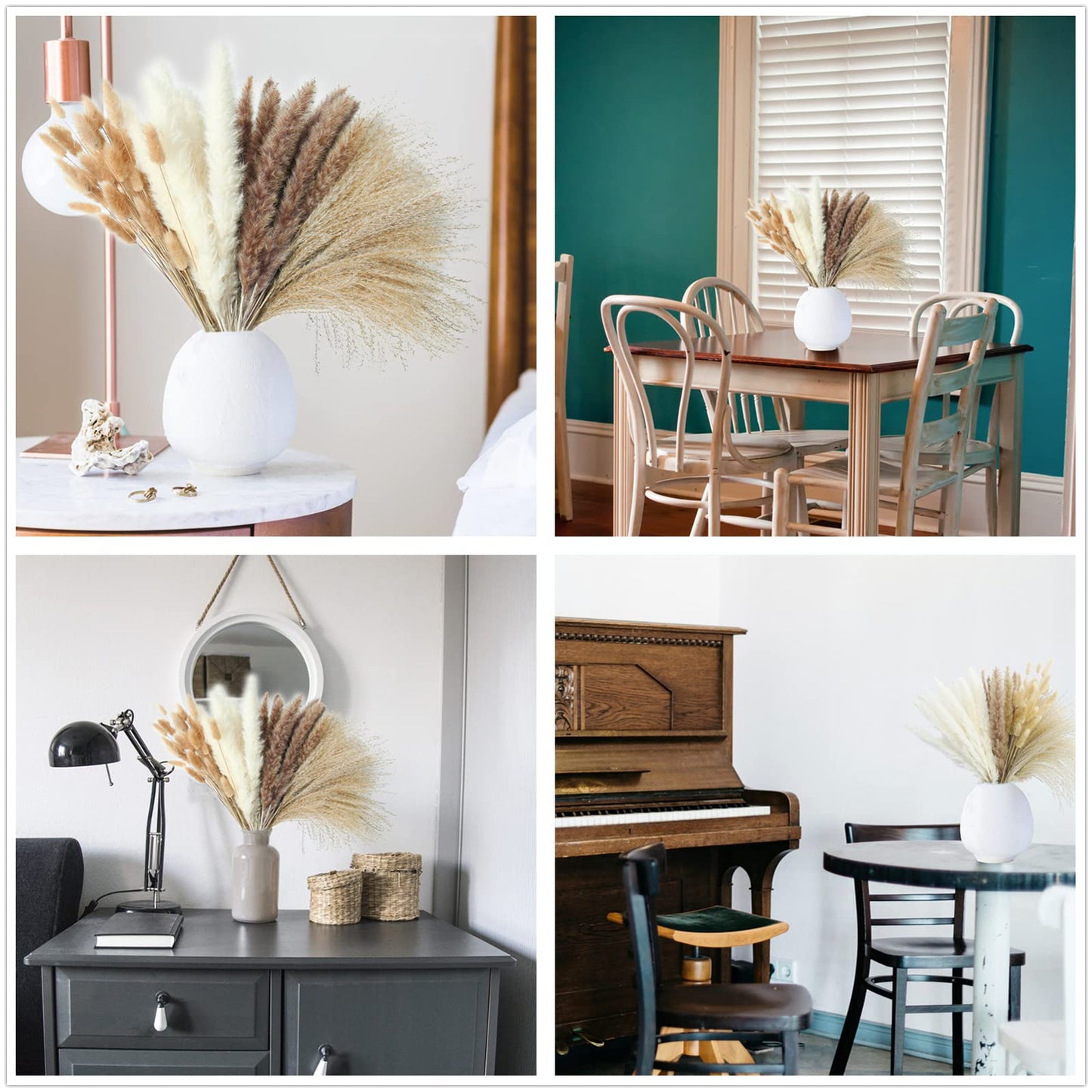 Pampas Grass