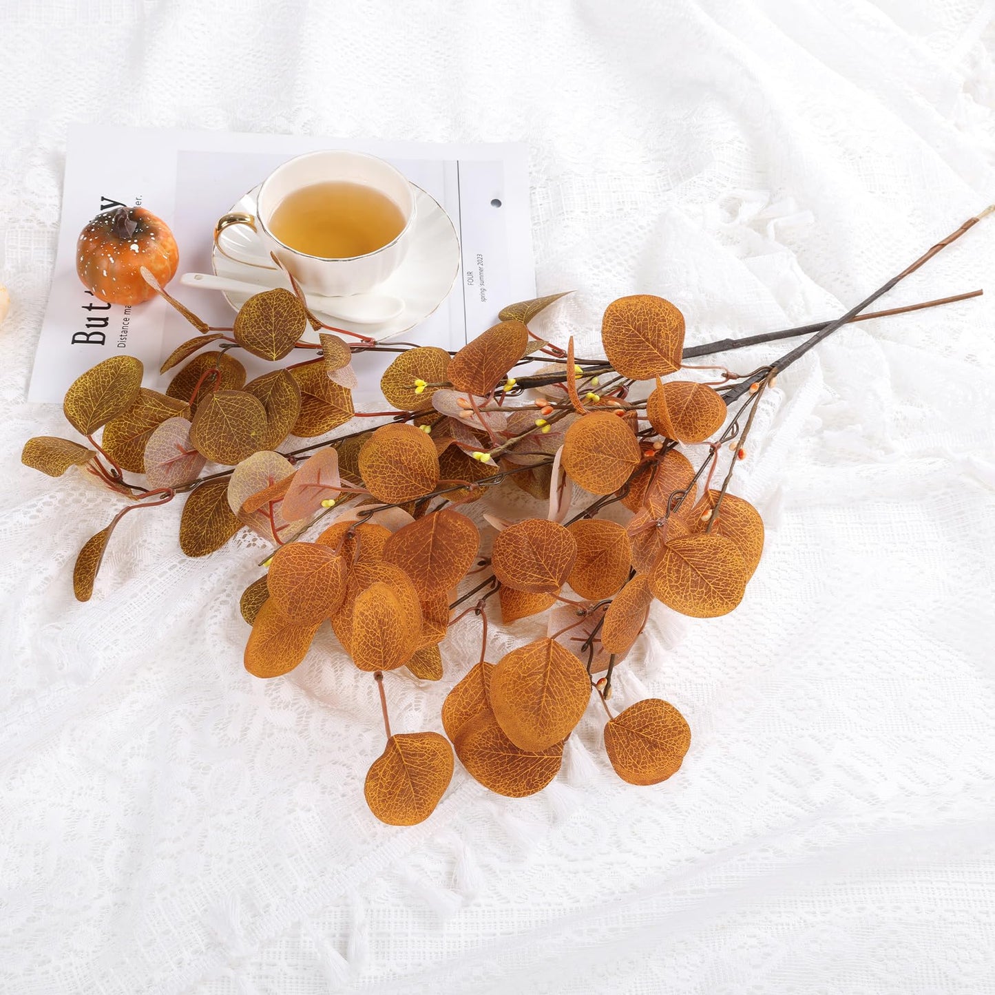 Eucalyptus Leaves Stems