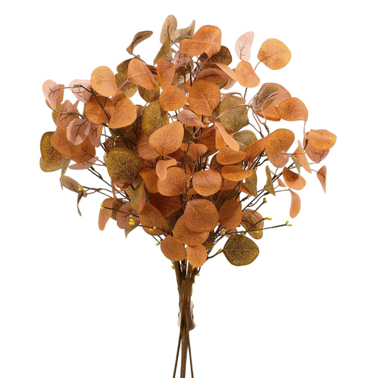 Eucalyptus Leaves Stems